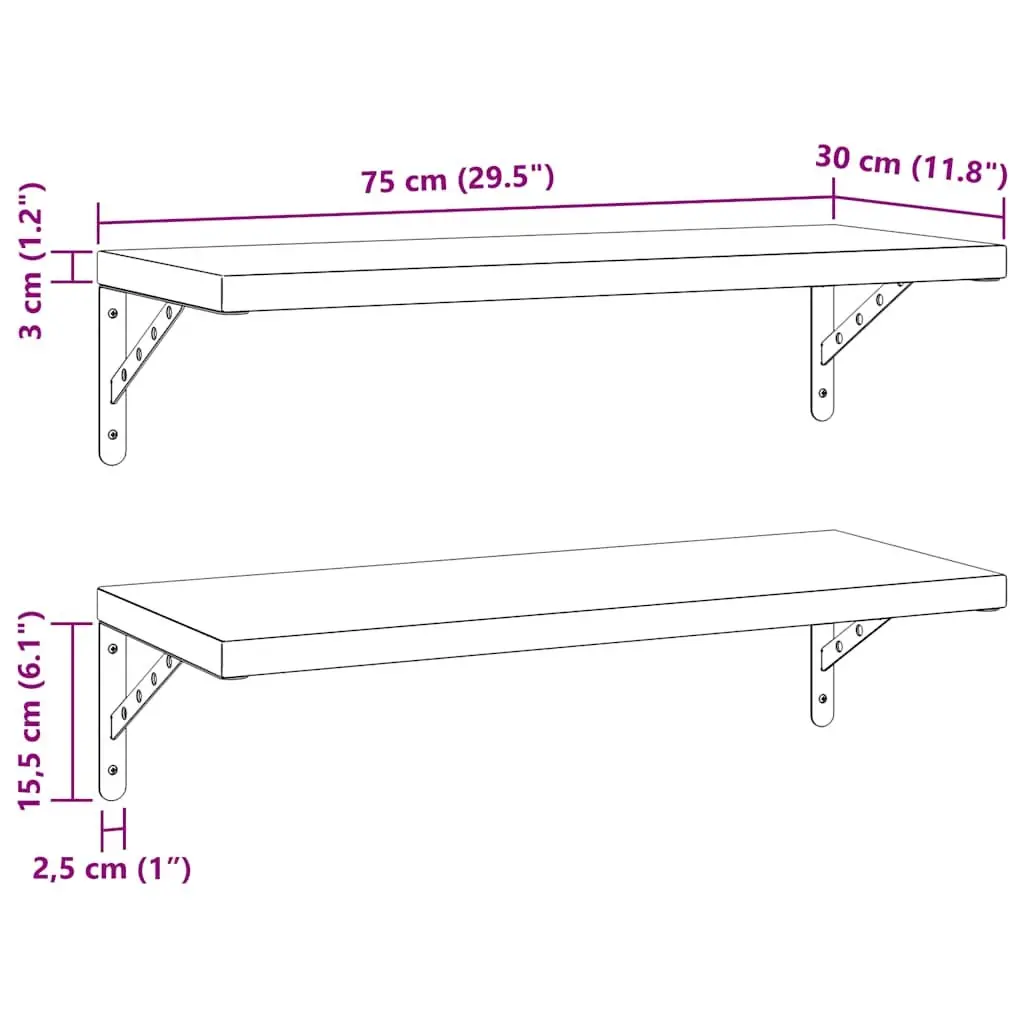 Wall Shelves Floating Storage Display 75x30 cm Silver Stainless Steel 2 Piece