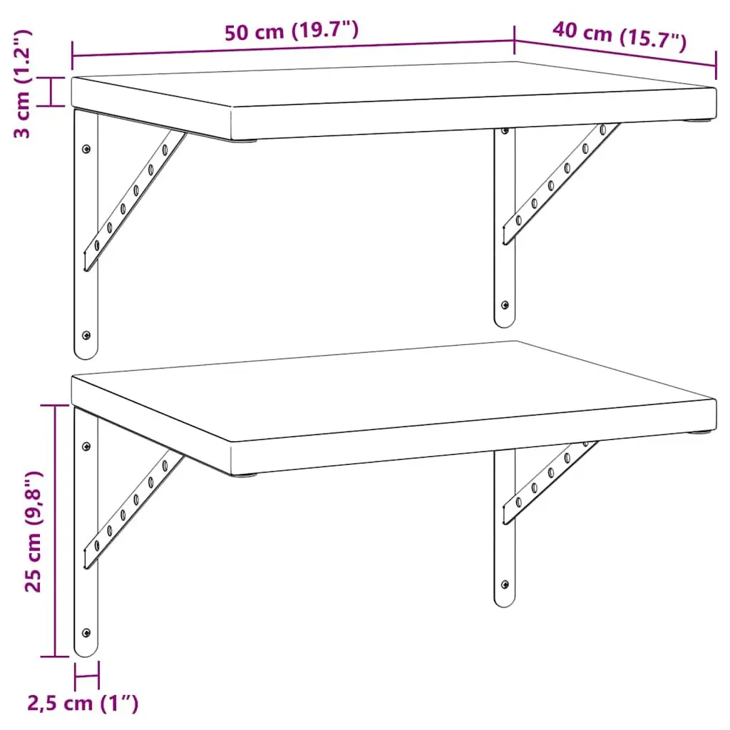 Floating Storage Shelves 50x40 cm Silver Stainless Steel Wall-Mounted Display 2 Piece