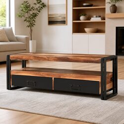 Affordable Brown Wood TV Cabinet with Excellent Storage