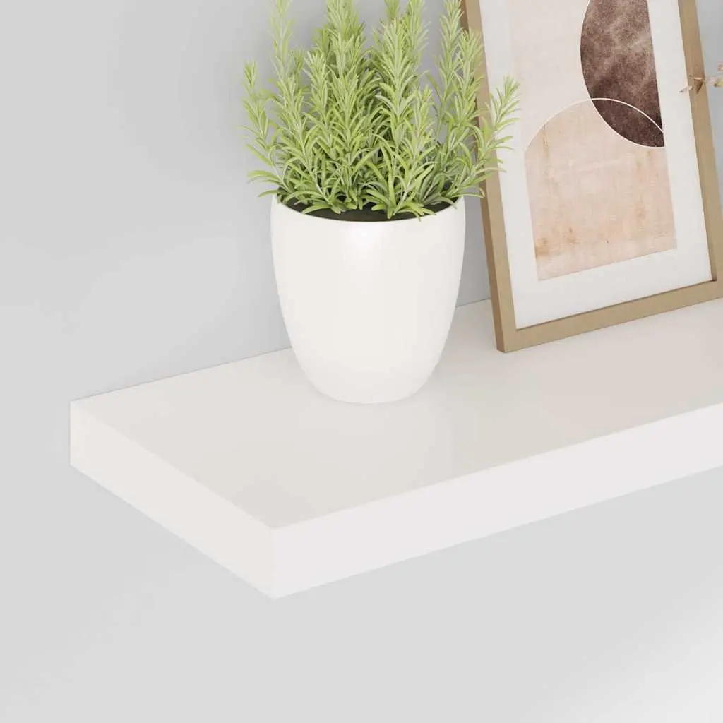 Floating Wall Shelves Display Shelf 50 x 23.5 x 3.8 cm High Gloss White 2 Piece