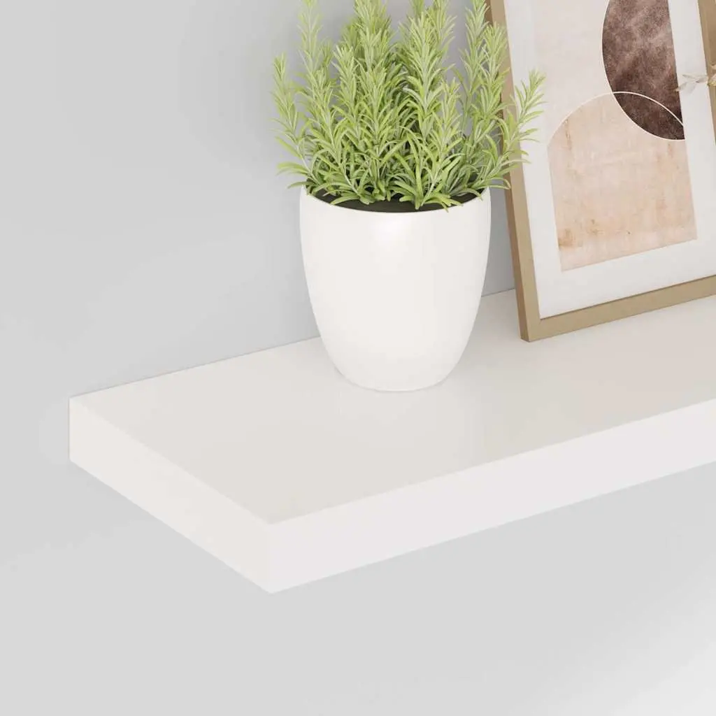 Floating Wall Shelves Display Ledge 60 x 23.5 x 3.8 cm High Gloss White 2 Piece