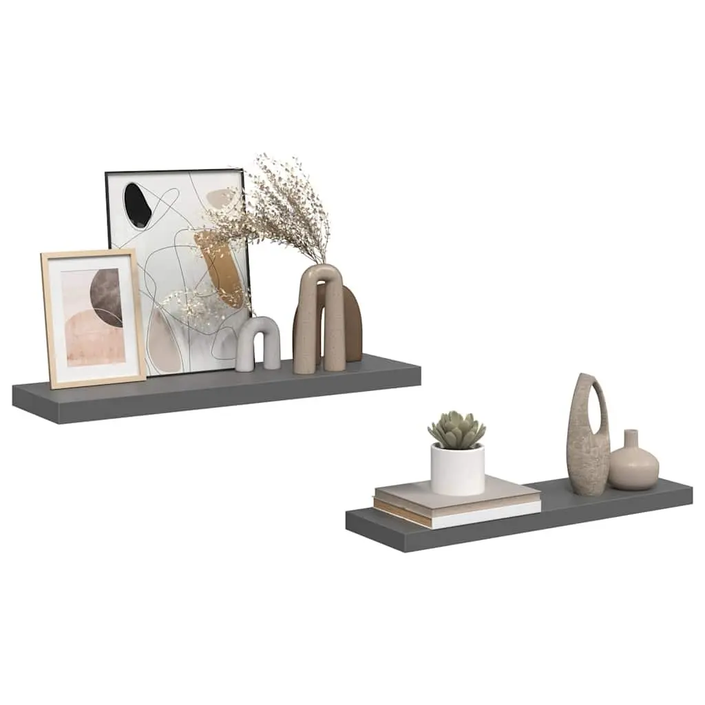 Floating Wall Shelves Display Shelf 80 x 23.5 x 3.8 cm High Gloss Grey 2 Piece