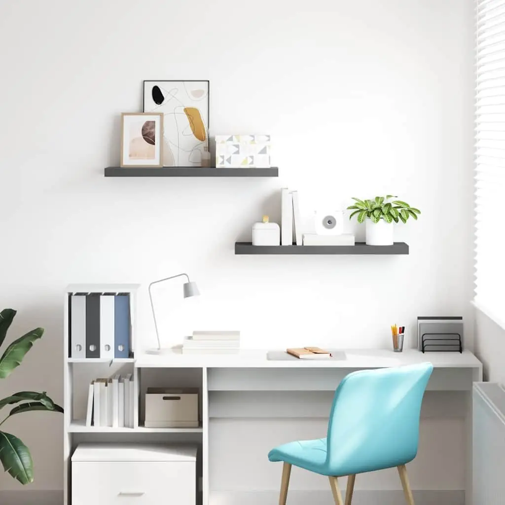 Floating Wall Shelves Display Shelf 80 x 23.5 x 3.8 cm High Gloss Grey 2 Piece