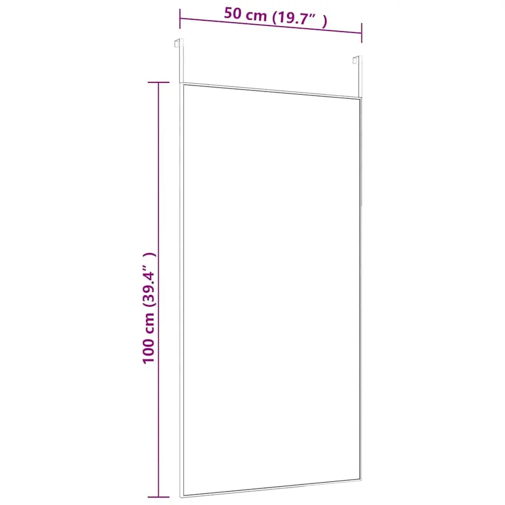 Door Mirror Black 50x100 cm Wall Mounted Dressing Mirror