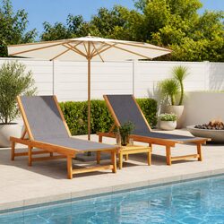 Reliable 2 pcs Adjustable Sun Loungers for Your Outdoors