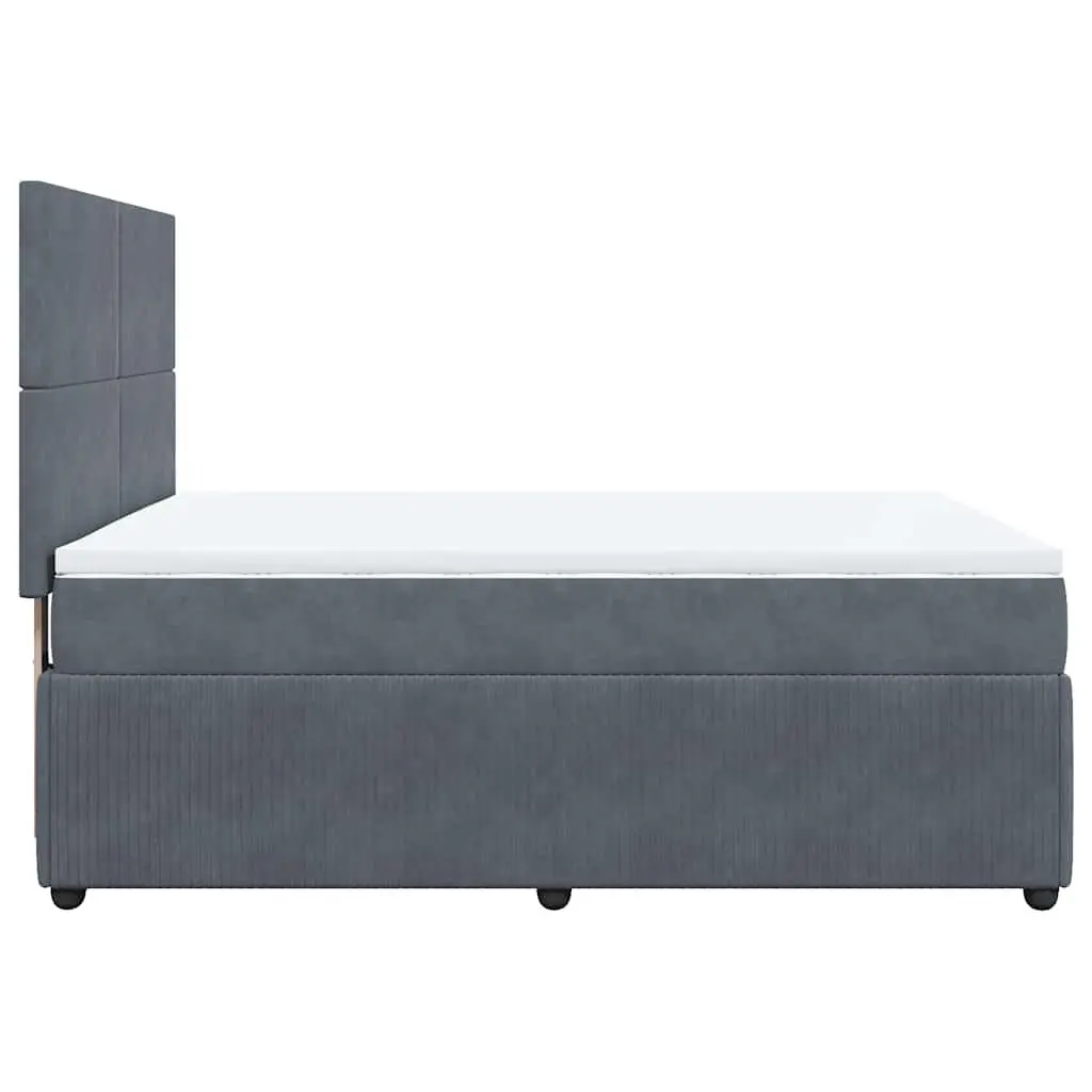 Box Spring Bed with Pocket Spring Mattress Grey Double Velvet Adjustable