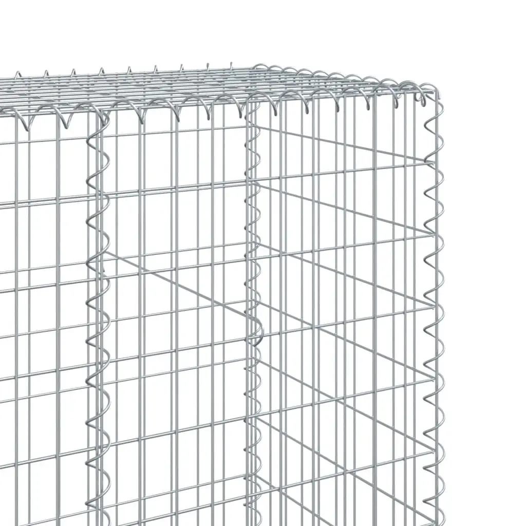 Gabion Basket 1100x50x200 cm Garden Retaining Wall Silver