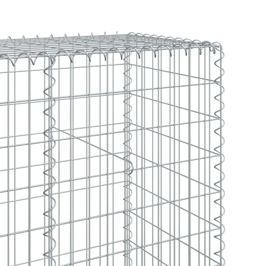 Gabion Basket Galvanised Iron Garden Retaining Wall 1200x50x200 cm Silver
