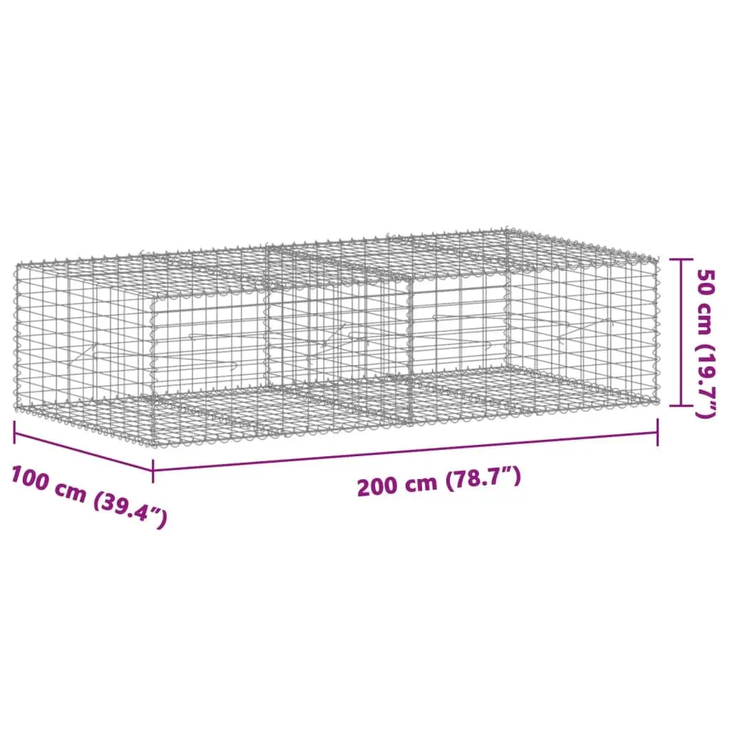 Gabion Basket 200x100x50 cm Metal Wire Garden Retaining Wall Silver