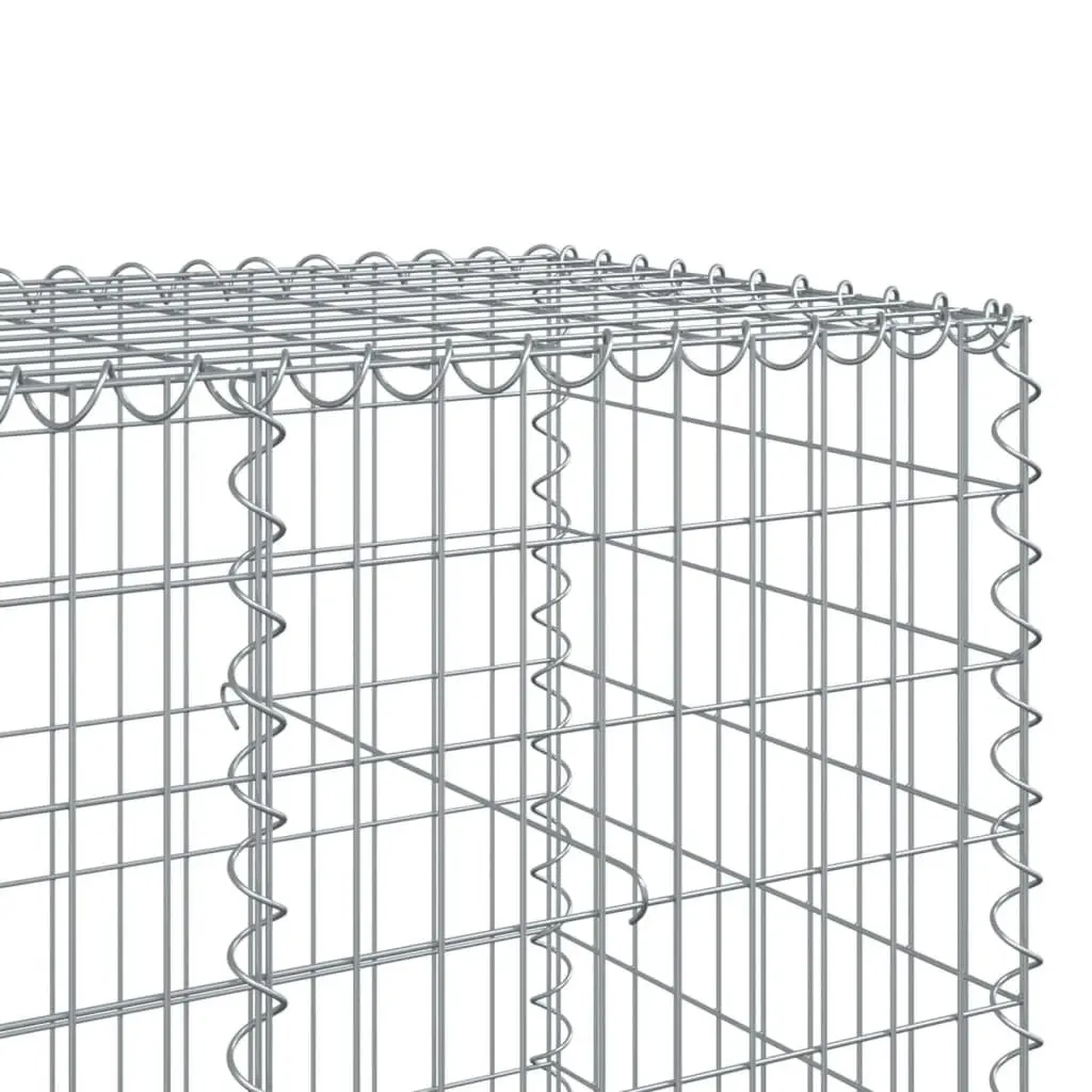 Gabion Basket 300x100x100 cm Garden Retaining Wall Decorative Cage Silver