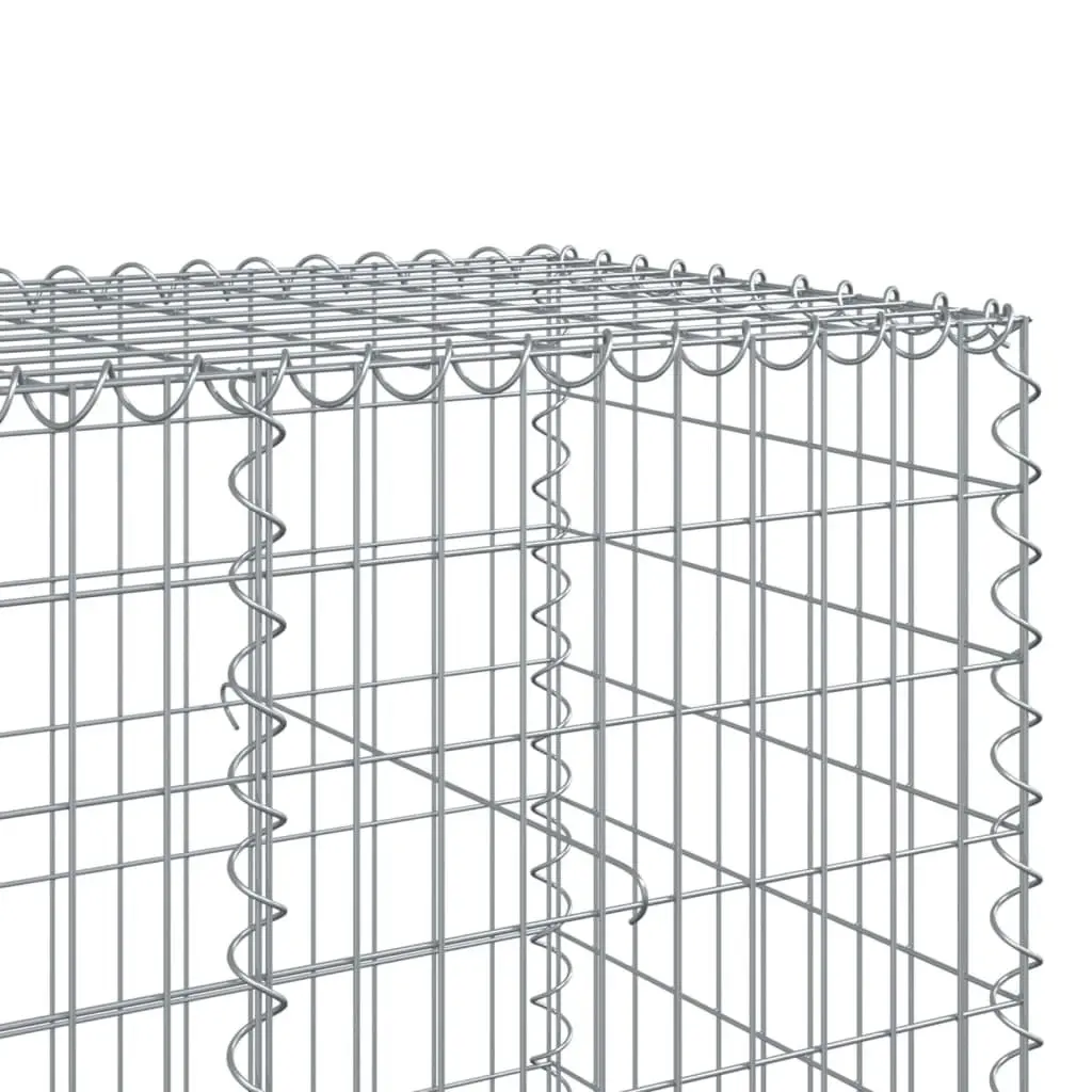 Gabion Basket 550x100x100 cm for Garden Landscaping Silver with Cover