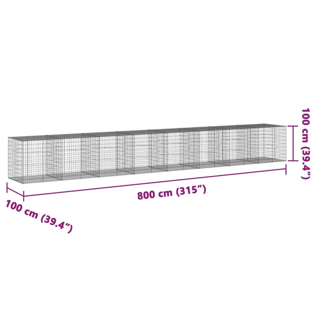 Gabion Basket 800x100x100 cm for Landscaping and Outdoor Decor Silver Galvanised Iron Wire Cage