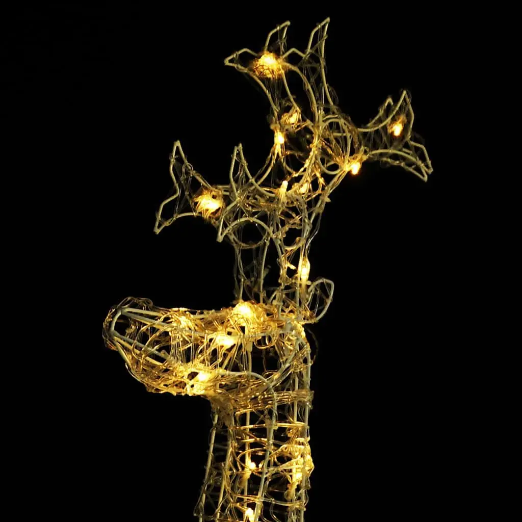 Standing Reindeer Christmas Decoration Warm White LED Lights 60 x 16 x 100 cm Acrylic Outdoor