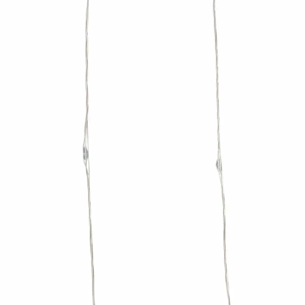 LED String Lights Cold White 30m 300 LEDs Indoor Outdoor