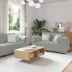 2 Piece Grey Velvet Sofa Set