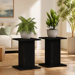 Reliable Black Plant Stand Set of 2 for Indoor/Outdoor