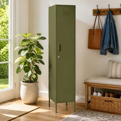 Value and Practicality: Green Steel Locker Cabinet