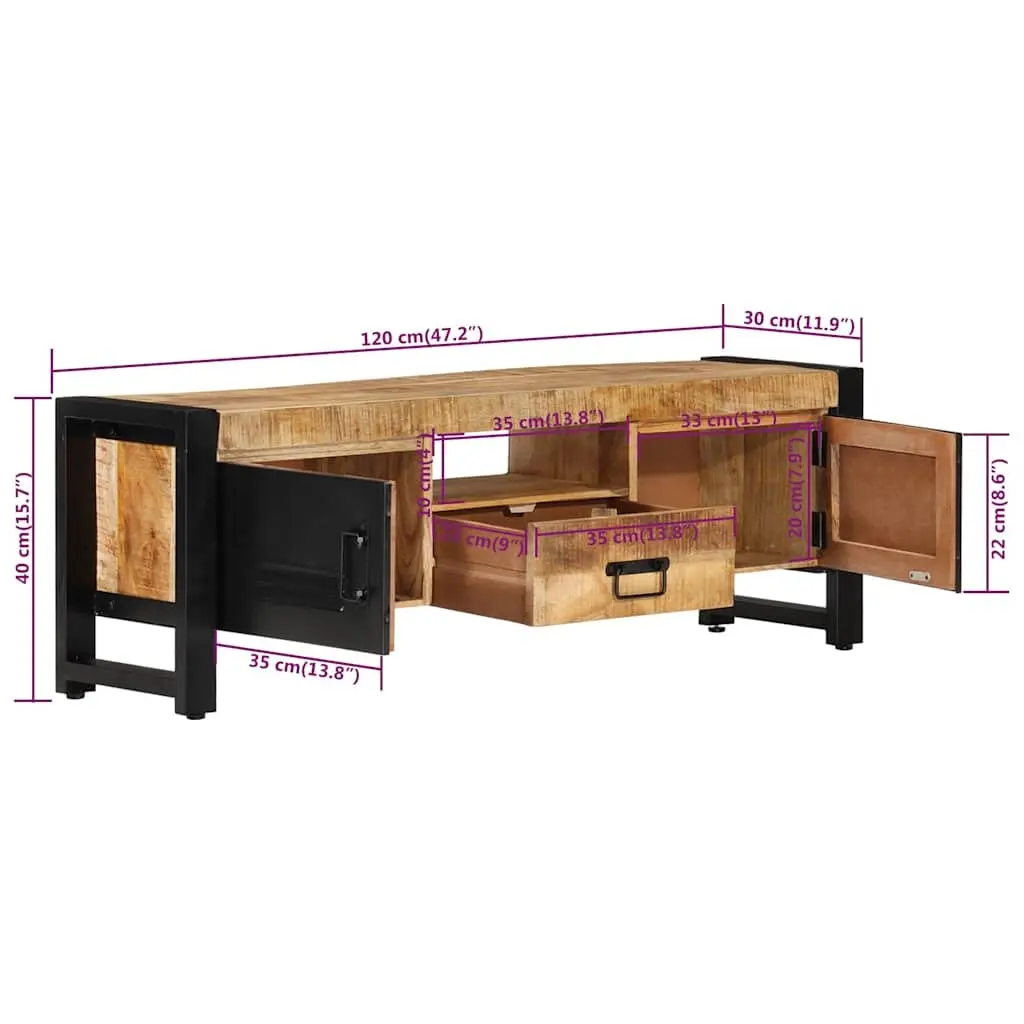 TV Cabinet 120x30x40 cm with Ample Storage
