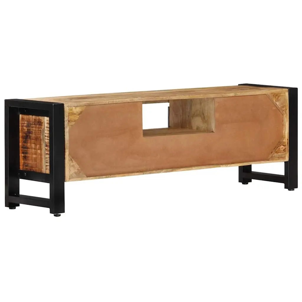 TV Cabinet 120x30x40 cm with Ample Storage