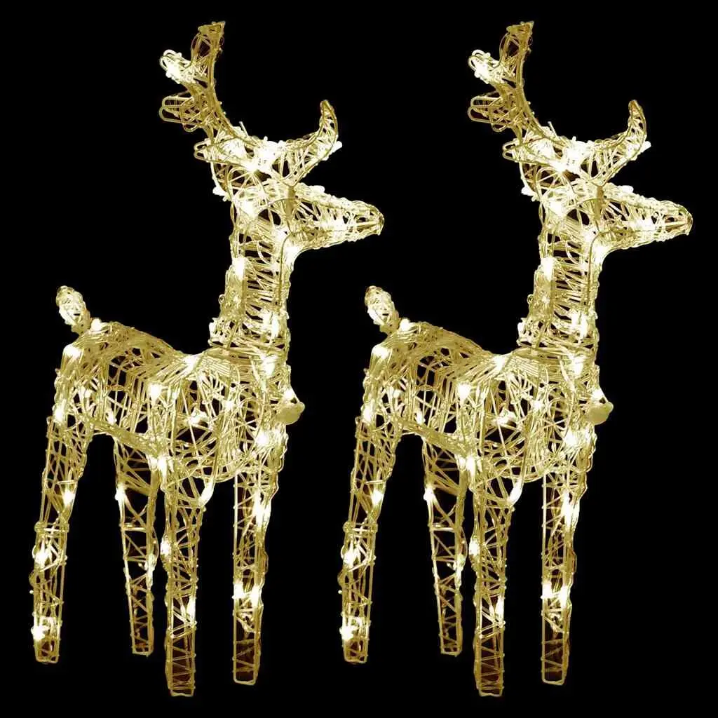 Reindeer LED Lights Outdoor Decoration 2 Piece Warm White Acrylic