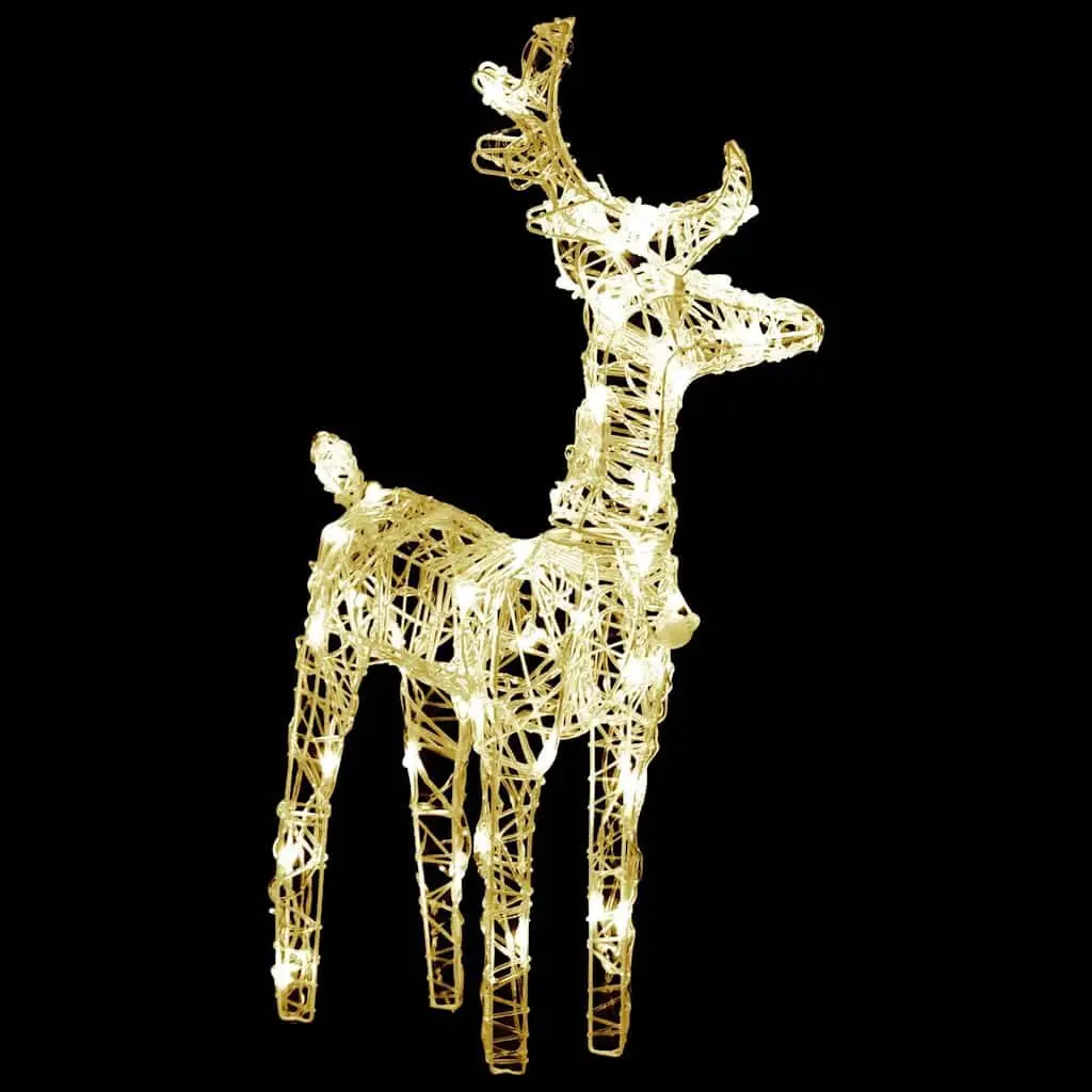 Reindeer LED Lights Outdoor Decoration 2 Piece Warm White Acrylic