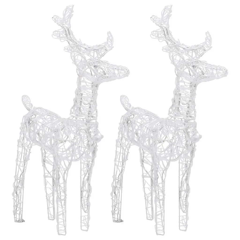 Christmas Reindeer Outdoor Decoration 2 Piece Cold White 80 LED Lights Acrylic Yard