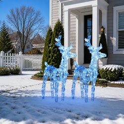 Blue Reindeer Lights: Practical and Charming