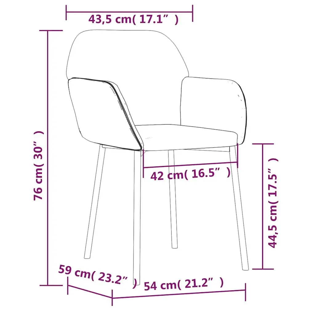 Dining Chairs Velvet Seat Padded Armrest Backrest Black 2 Piece