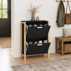 Value-Driven Black Shoe Cabinet for Your Home
