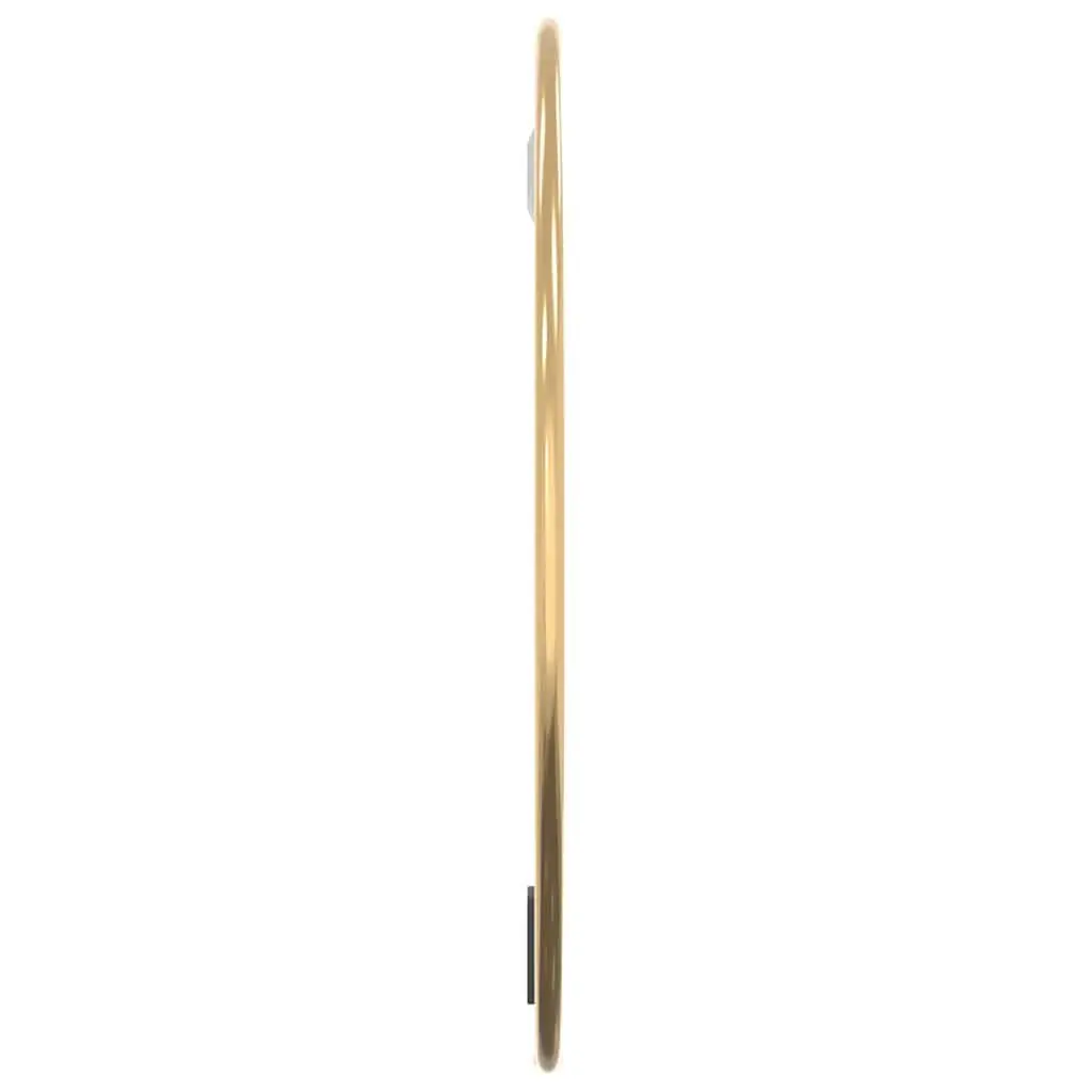 Round Wall Mirror 30cm Diameter Minimalist Home Decor Gold Frame
