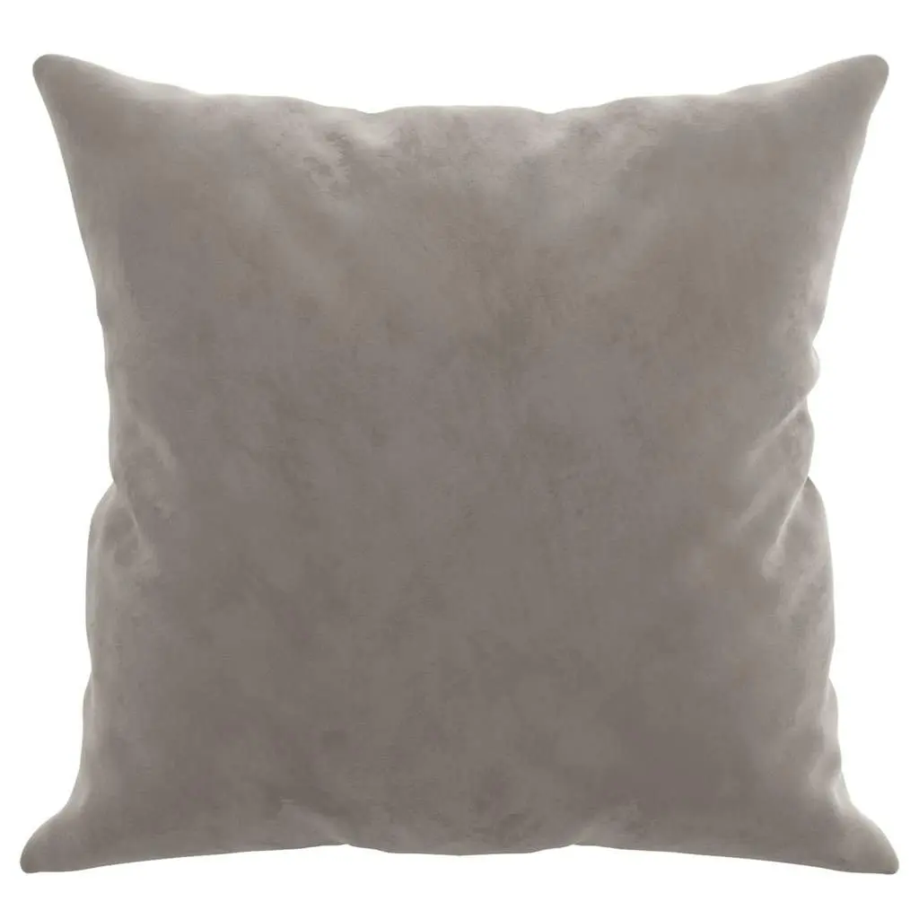 Cushions Velvet Grey 40x40cm Square Throw Pillows 2pcs for Sofa Couch Home Decor