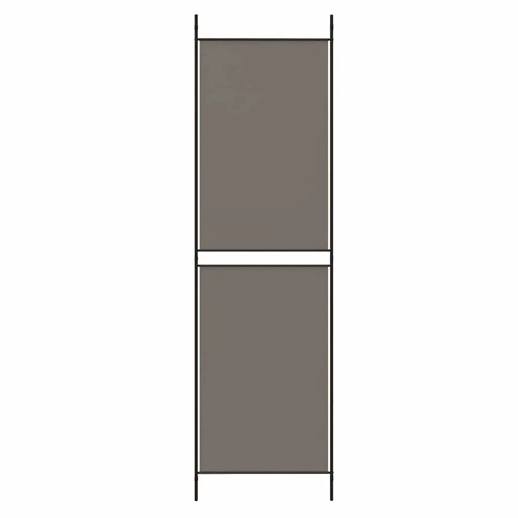 Room Divider 6-Panel Folding Screen Privacy 300x180cm Anthracite