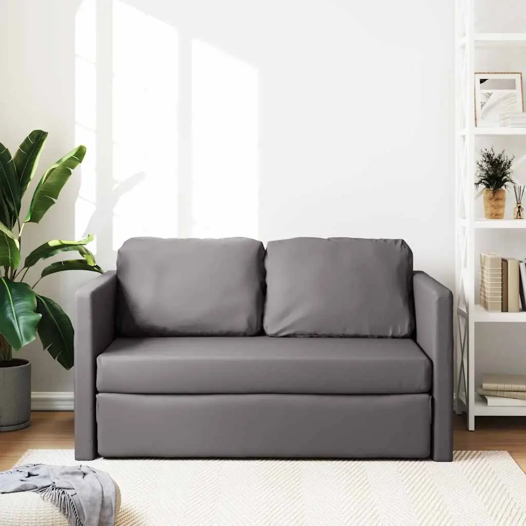 Floor Sofa Bed 2-in-1 Convertible Loveseat Grey Folding Sleeper
