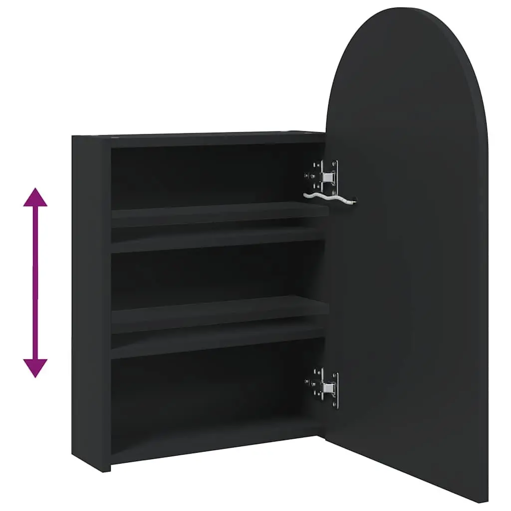 Bathroom Mirror Cabinet LED Light Wall-Mounted Storage 42W x 13D x 70H cm Black