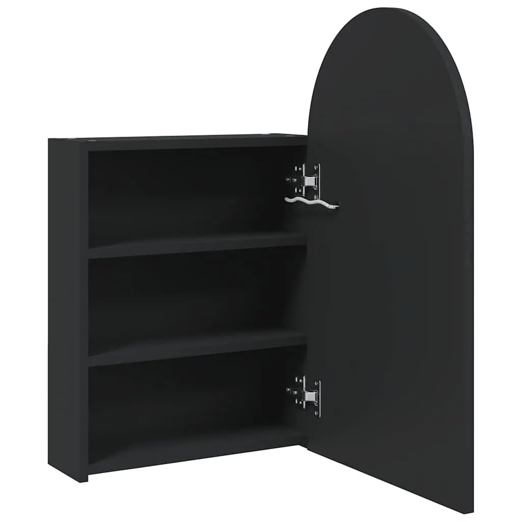 Bathroom Mirror Cabinet LED Light Wall-Mounted Storage 42W x 13D x 70H cm Black