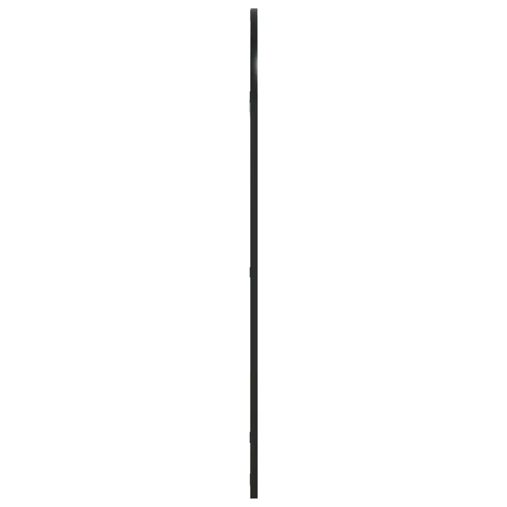 Wall Mirror Minimalist 50x100 cm Black Iron Frame Home Decor