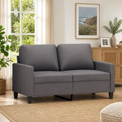 Comfortable Grey 2-Seater Sofa with Modern Aesthetic