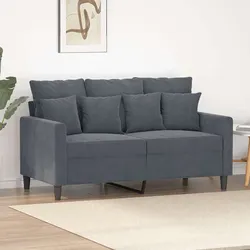 Grey Velvet 2-Seater Sofa with Comfort and Durability