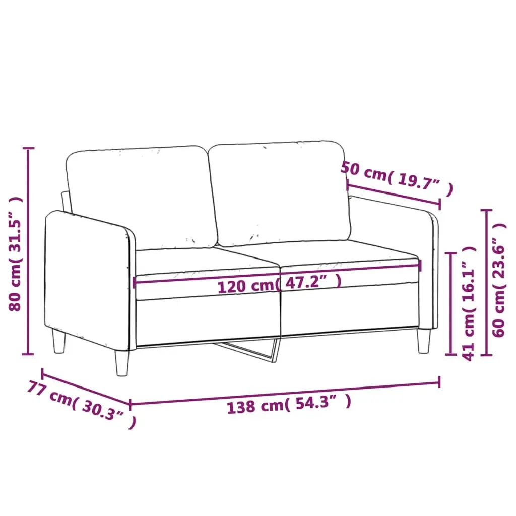 2-Seater Sofa Grey Velvet 120cm Modern Living Room Couch Comfortable Padded