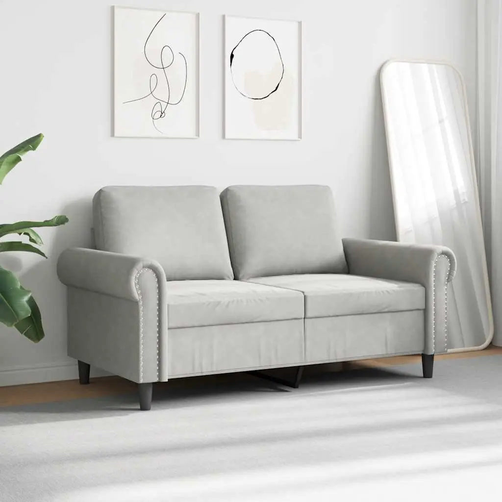 2-Seater Sofa with Padded Comfort