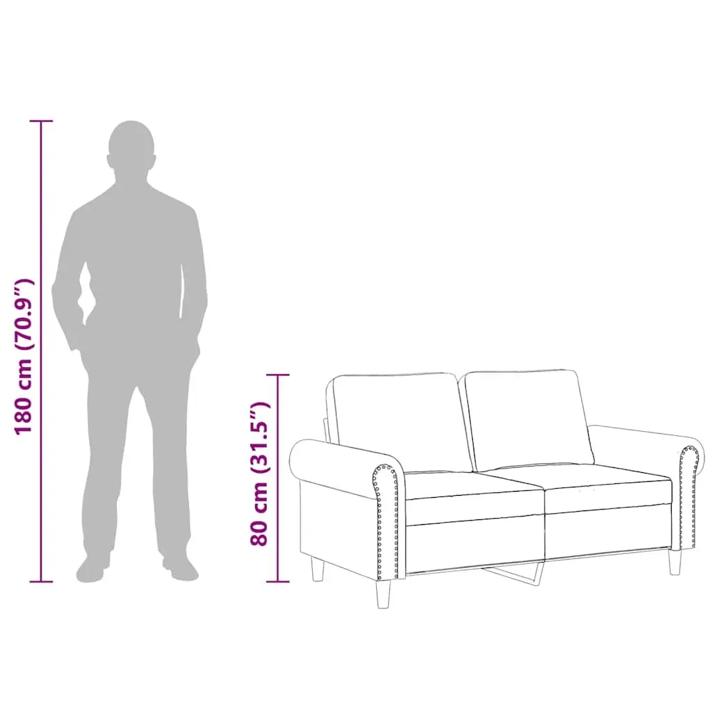 2-Seater Sofa with Padded Comfort