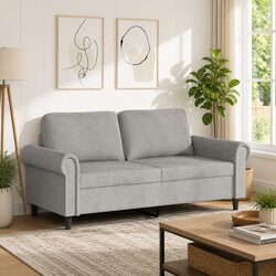 Value and Comfort in a 2-Seater Grey Sofa
