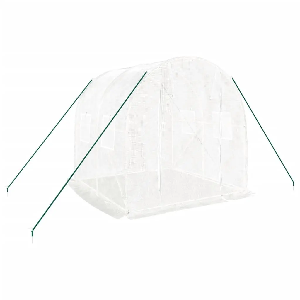 Greenhouse 4 m² for Growing Fruits Vegetables and Plants 2x2x2 m White Steel Frame PE Cover Roll-Up Door Mesh Windows