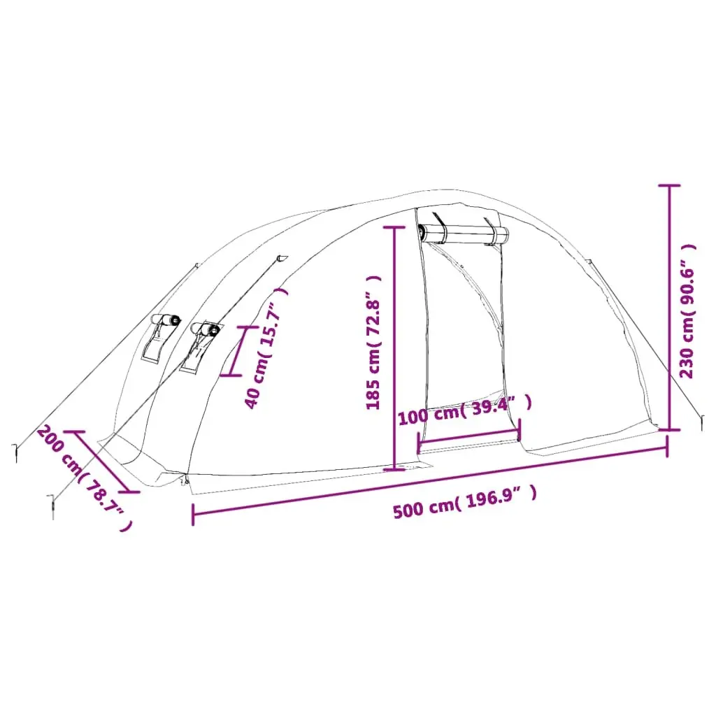 Greenhouse 10m² PE Cover Steel Frame Garden Plant House 5x2x2.3m Green