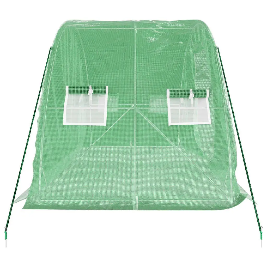 Greenhouse 10m² PE Cover Steel Frame Garden Plant House 5x2x2.3m Green
