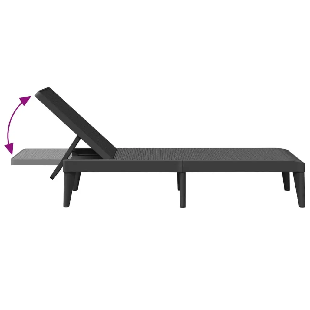 Sun Lounger Adjustable Reclining Chair Outdoor Garden Patio Anthracite 186 x 60 x 29 cm