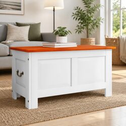 Value-Driven Storage Chest with Gas Lift Lid