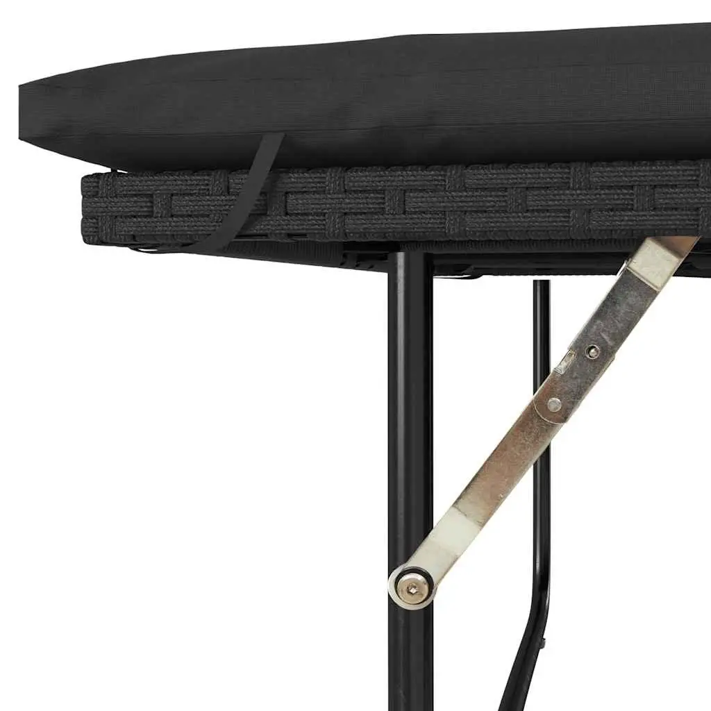 2-Seater Garden Sofa Bed Black Poly Rattan Outdoor Bench with Cushions