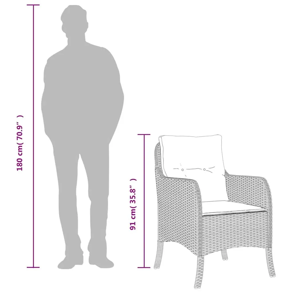 Garden Chairs with Cushions