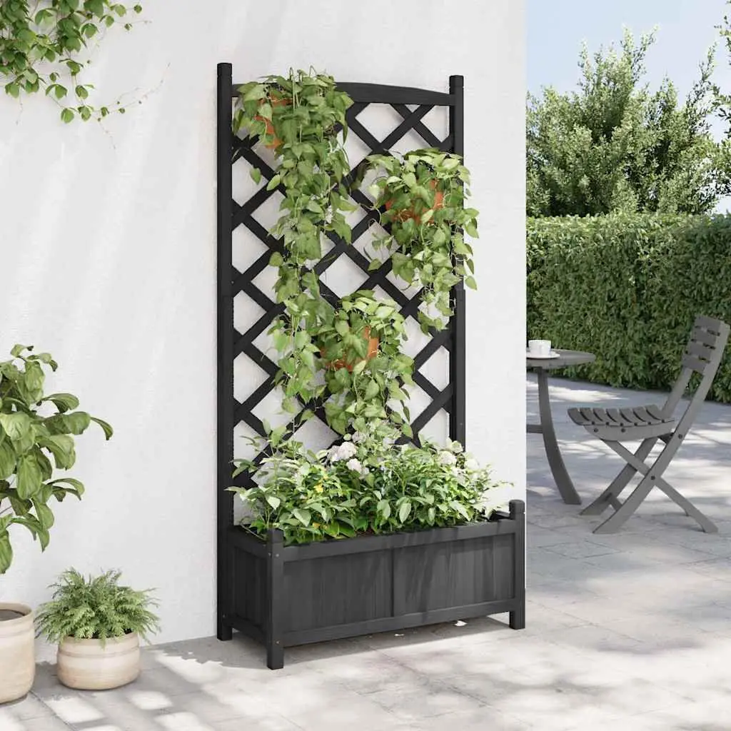 Planter with Trellis Climbing Plants Black Solid Wood Fir Garden Outdoor